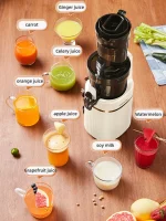 Large Caliber Juicer Residue Separation Household Low-speed Fruit Vegetable Multifunctional Juicer Commercial Electric Juicer